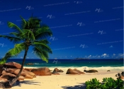poster NO 14-006-4